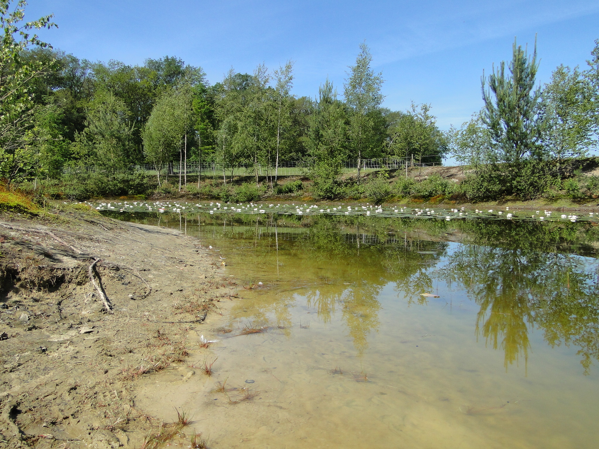 2011HWK 034.jpg